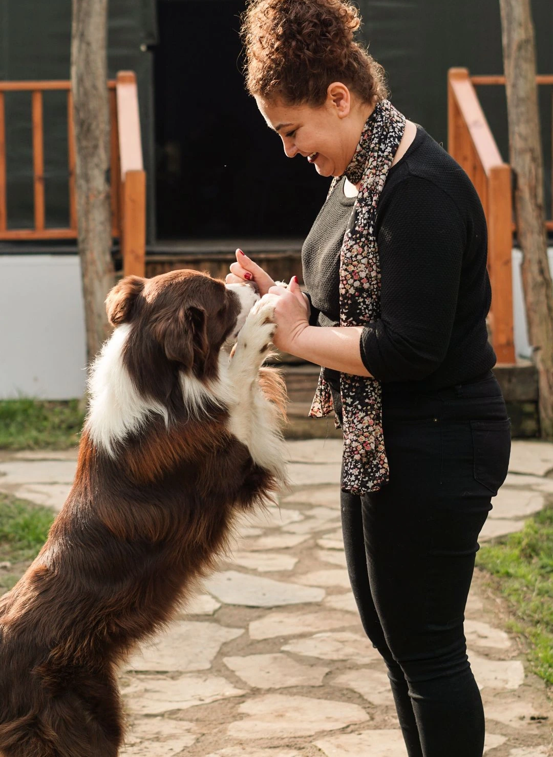 Animal examiné avec attention au cabinet