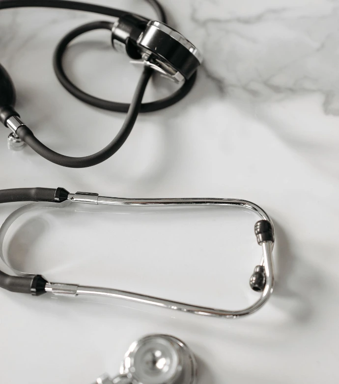 Examen vétérinaire réalisé avec un équipement d'imagerie